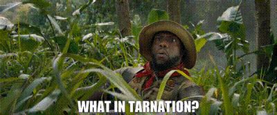 YARN | What in tarnation? | Jumanji: The Next Level | Video gifs by quotes | 2312b76f | 紗