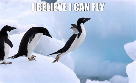 The Online Penguin: Funny Penguin Gallery