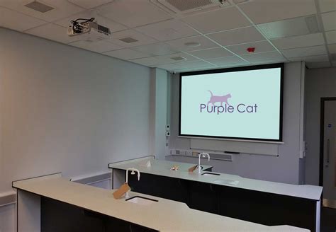 Projector Screen Installations - Purple Cat Ltd