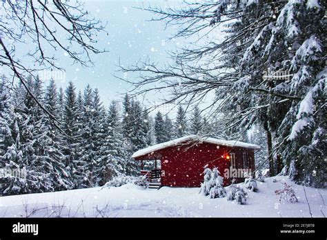 red wooden cabin in winter forest with snowfall background Stock Photo ...