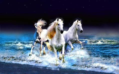 White Horse Wallpapers - Top Free White Horse Backgrounds - WallpaperAccess