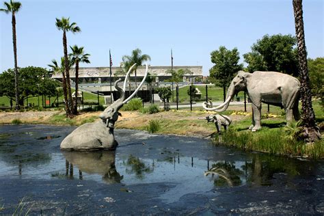 La Brea Tar Pits & Museum, Los Angeles, California, USA - Heroes Of ...