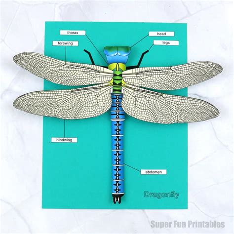 3D paper dragonfly - The Craft Train