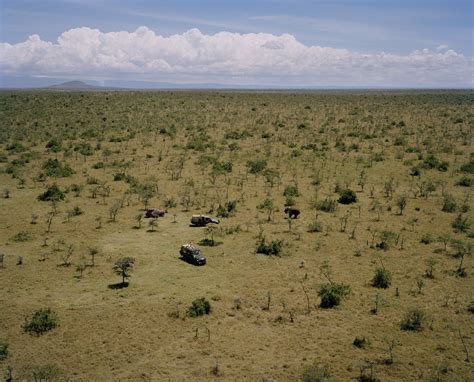 Powerful Photos of Rhinos and Elephants in Danger | Time