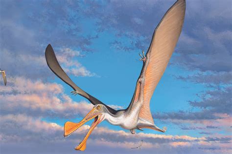 Flying dinosaurs: 107-million-year-old Pterosaur bones oldest in Australia