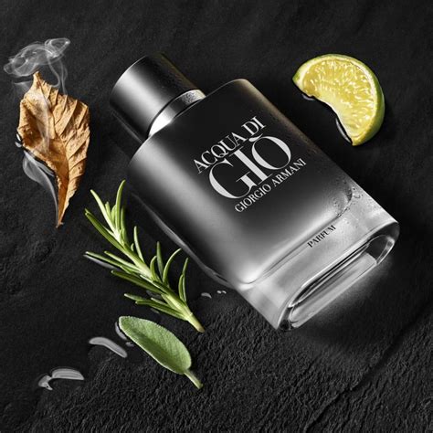 Giorgio Armani Acqua Di Gio Homme Parfum | New for Men 2023