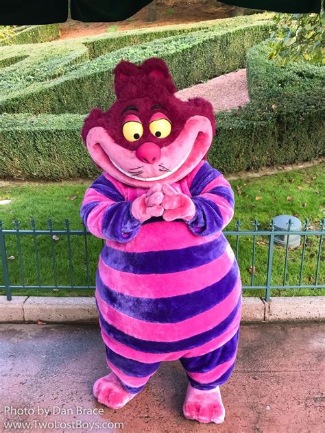 Cheshire Cat at Disney Character Central | Cheshire cat disney, Old disney characters, Disney ...