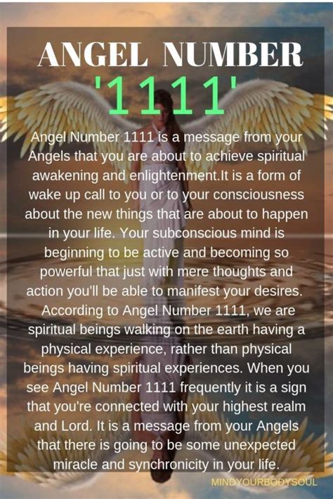 1111 Angel Number: Meaning And Symbolism | Numerology life path, Angel number 1111, Angel number ...