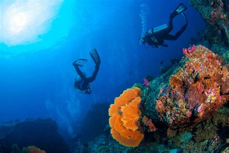 5 Reasons Red Sea Scuba Diving Should Be on Your Radar