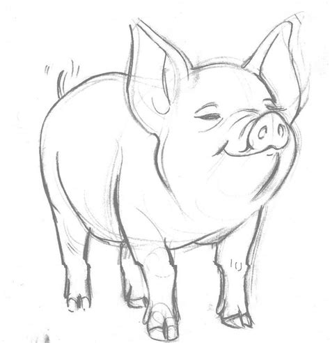 cute pig pencil drawing - Google Search | Animal drawings, Drawings, Animal sketches