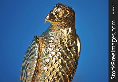 Golden Falcon Head - Free Stock Images & Photos - 4866152 ...