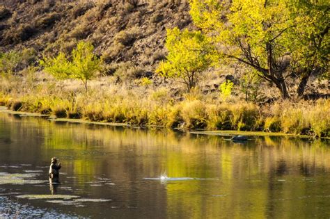 Fly Fishing in Oregon: An Angler's Guide - Into Fly Fishing