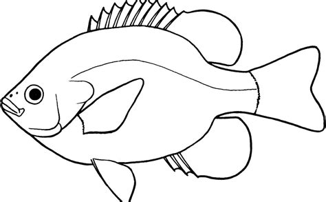 Lovely of fish clipart black and white letter master outline 5 jpeg – Clipartix