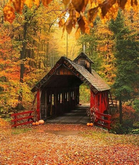 Pin by Claude Choueiri on Paysages | Autumn scenery, Scenery, Covered bridges