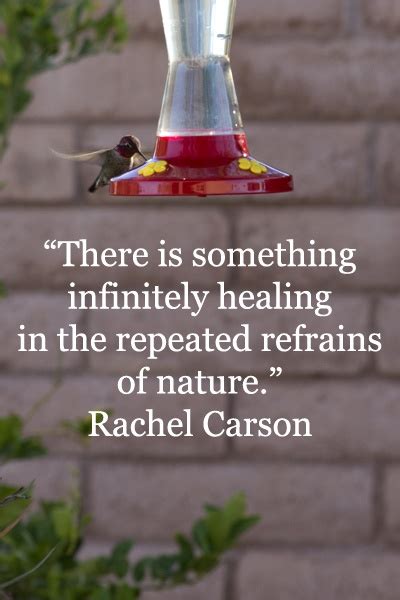 From Rachel Carson Quotes. QuotesGram