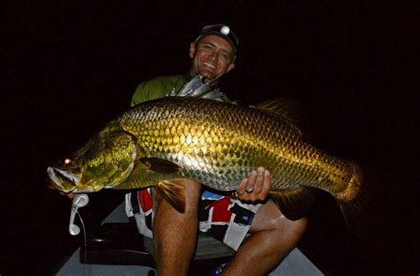 Barramundi Fishing Lures