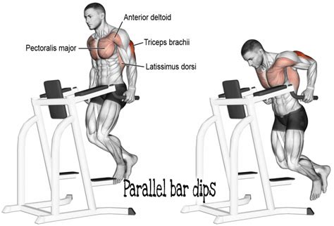 Pin on chest workout