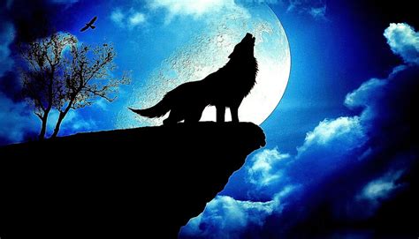 Wolf Full Moon Wallpaper - WallpaperSafari