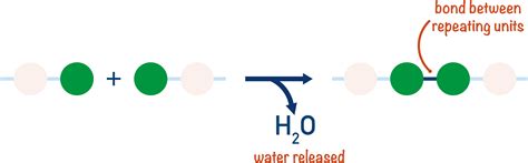 Condensation Polymerisation (A-Level) | ChemistryStudent