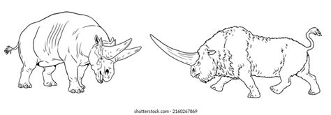 Prehistoric Woolly Rhinoceros Drawing Extinct Rhinoceros Stock Illustration 2160267807 ...