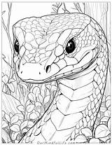 40 Fascinating Snake Coloring Pages Free Printable sketch template