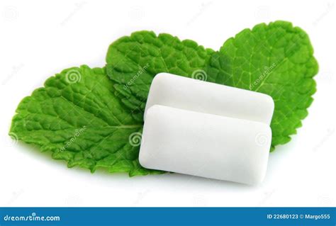 Mint With Chewing Gum Stock Photos - Image: 22680123