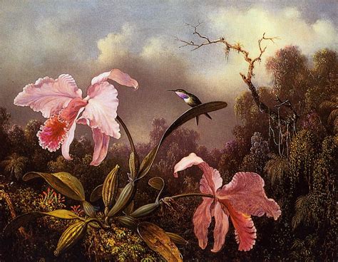 TROPICALIZER: Martin Johnson Heade // Orchids and Hummingbirds