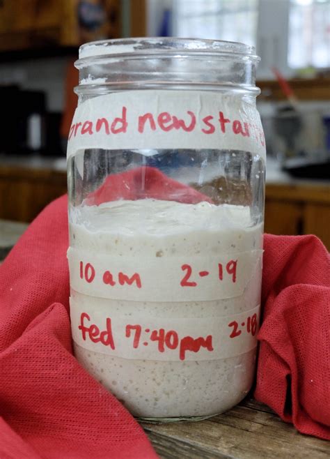 Sourdough starter troubleshooting, part 2 | King Arthur Baking