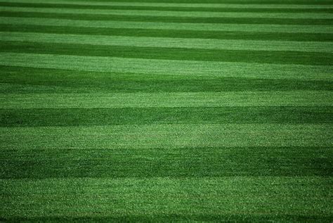 Baseball Field Grass Lines Photograph by Lea Ravitz - Fine Art America