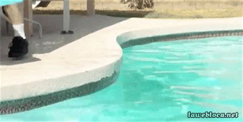 swimming pool gifs | WiffleGif