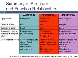 Beta 2 agonists | PPT