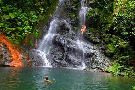 Searching for Jaguars - Belize Jungle Top Ten featuring the Cockscomb ...