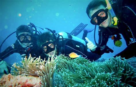 Top 5 Marine Conservation Programs Abroad