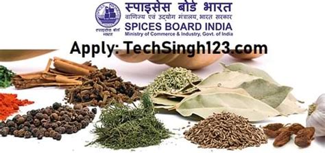 Spices Board Recruitment 2021 भारतीय मसाला बोर्ड भर्ती Now