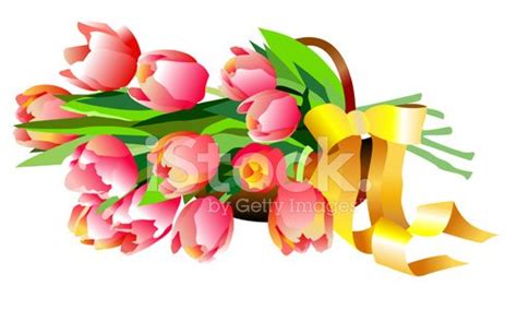 Tulip Isolated. Vector Illustration Stock Clipart | Royalty-Free | FreeImages