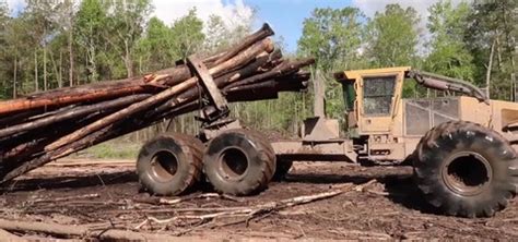 Swamp Loggers Season 4 - watch episodes streaming online