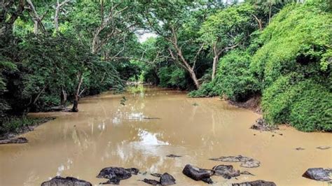 Petition · Save River Osun from Pollution - Nigeria · Change.org