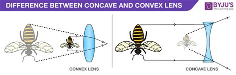 Concave Vs Convex