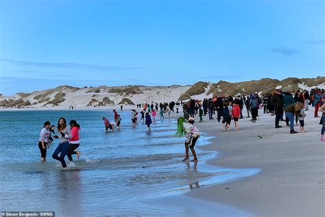 , Hundreds flock to Falkland Islands beaches declared free of LANDMINES after 1982 war with ...