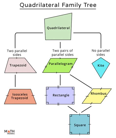 Quadrilateral Tree Diagram