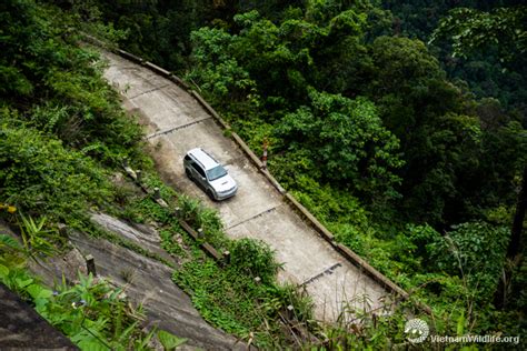 VQG Bạch Mã (Bach Ma National Park) – 08/2017 | Vietnam Wildlife