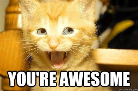 You're Awesome! - #Quotes #URAwesome #Awesome #Cat | quickmeme.com ...