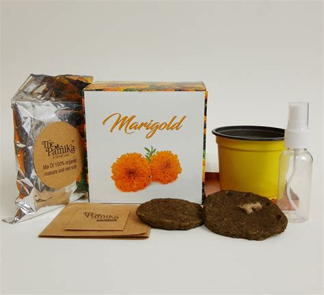 Marigold Kit