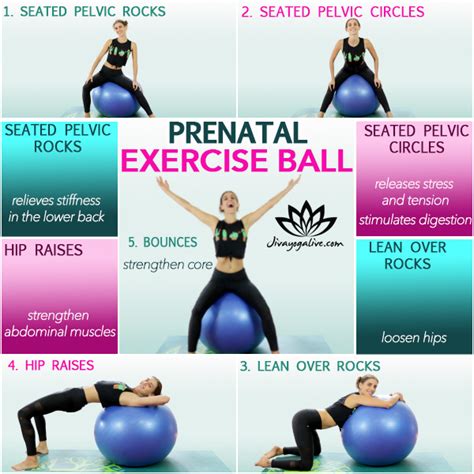 Yoga Ball Pregnancy Exercises - Jivayogalive