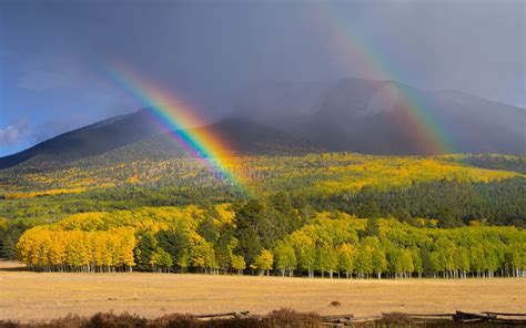 Download Nature Rainbow HD Wallpaper