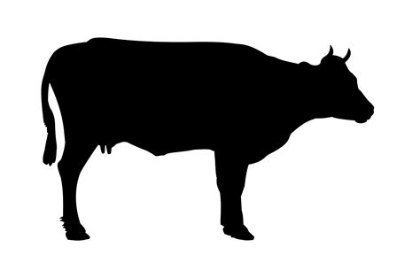 Clipart - cow