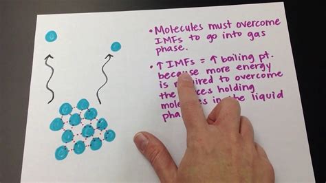 Intermolecular Forces and Boiling Point - YouTube