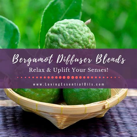 Bergamot Diffuser Blends - 10 Happy Essential Oil Recipes