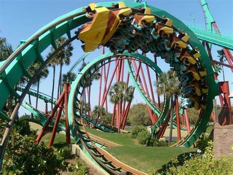 Scared Tickless: The Lyme Roller Coaster