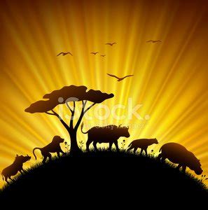 Savannah Sunset Stock Vector | Royalty-Free | FreeImages